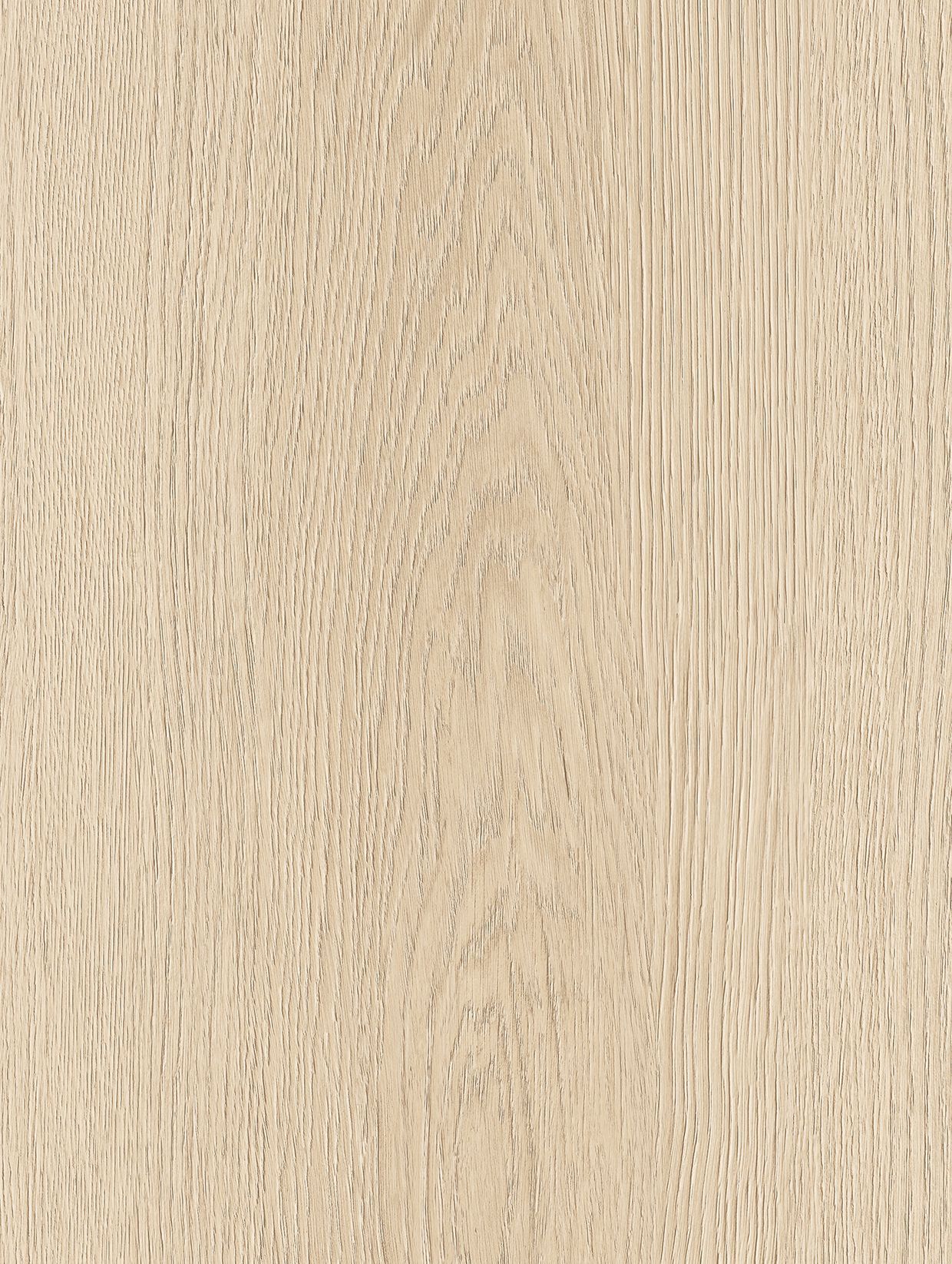 Sand Oak
