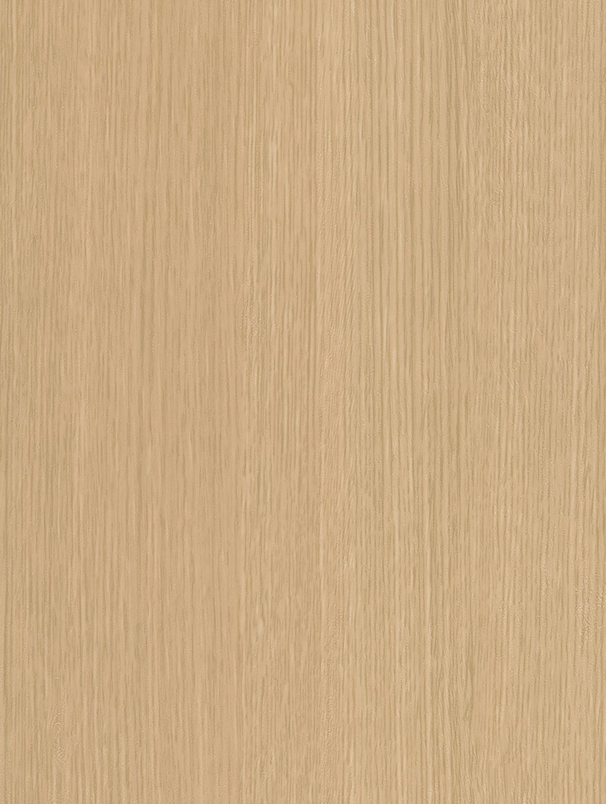 Beige Birch