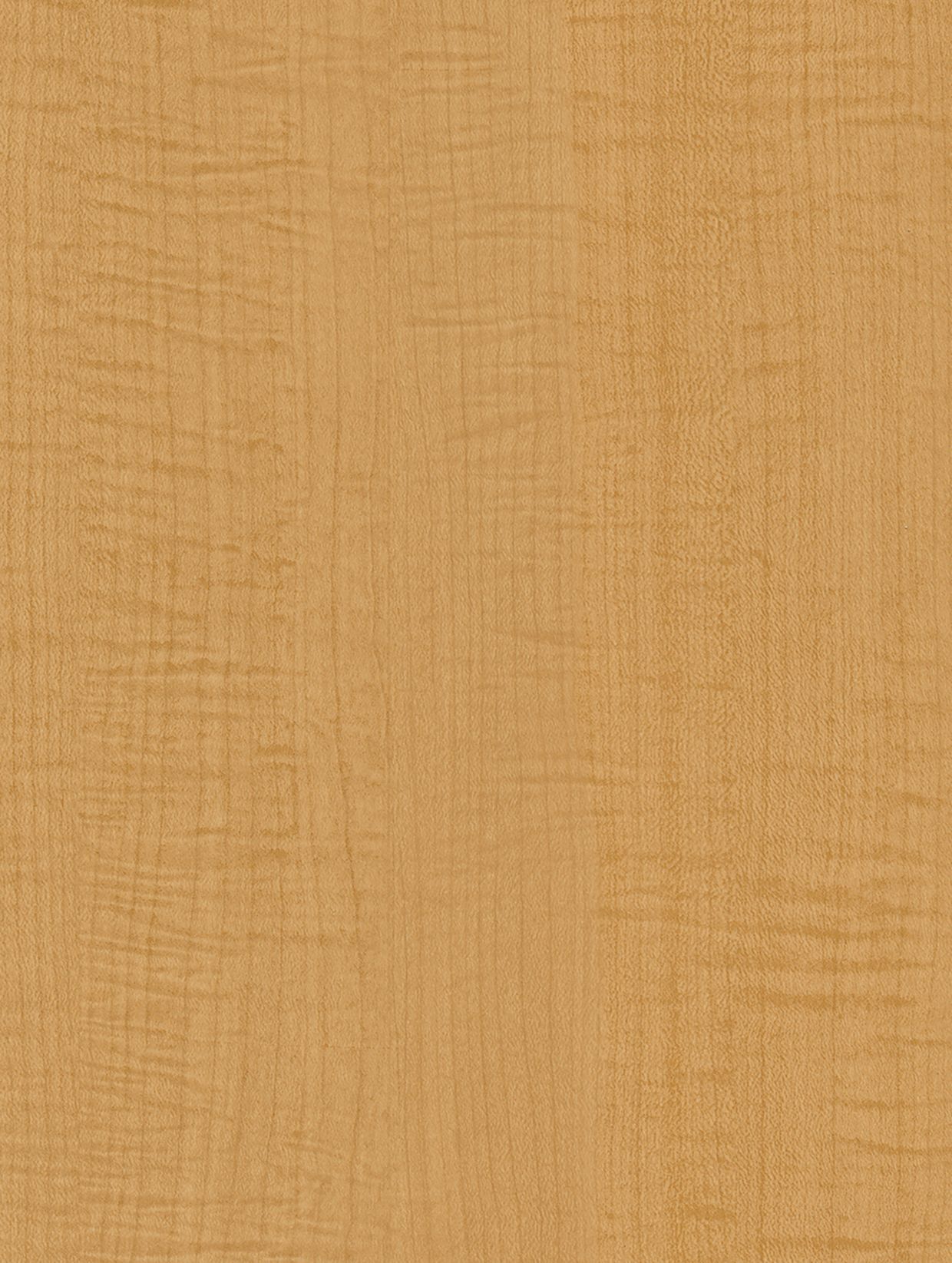 Yellow Sycamore