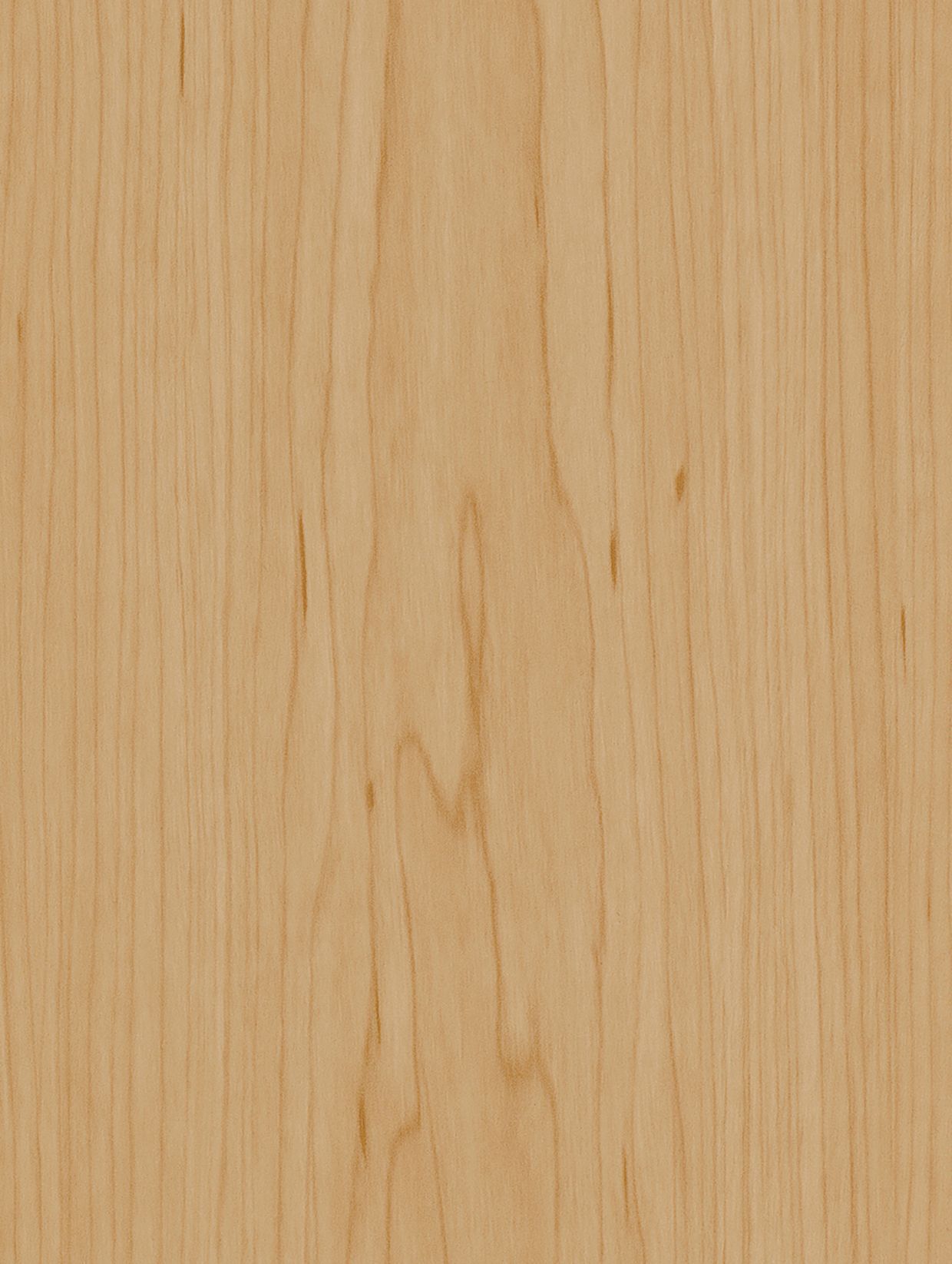 Traditional Maple