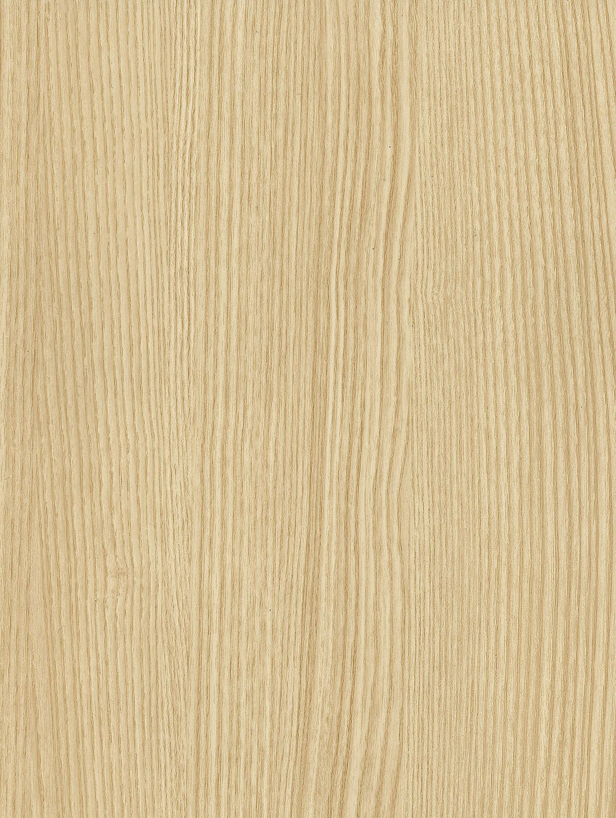 Blond Beech