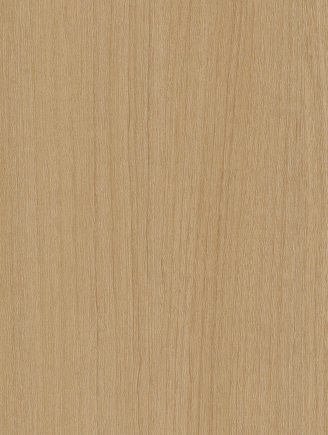 Brown Lined Hazelwood