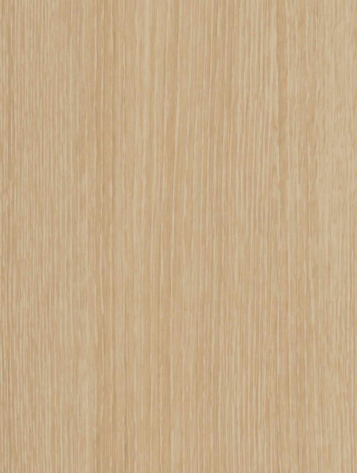 Basic Birch