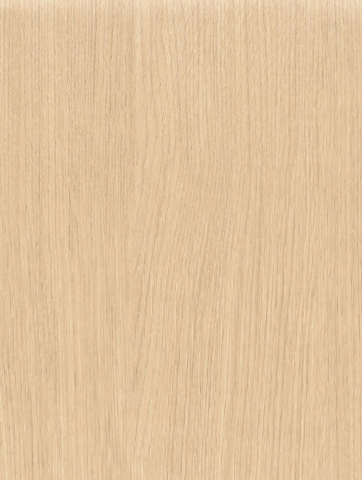 Sand Cherry