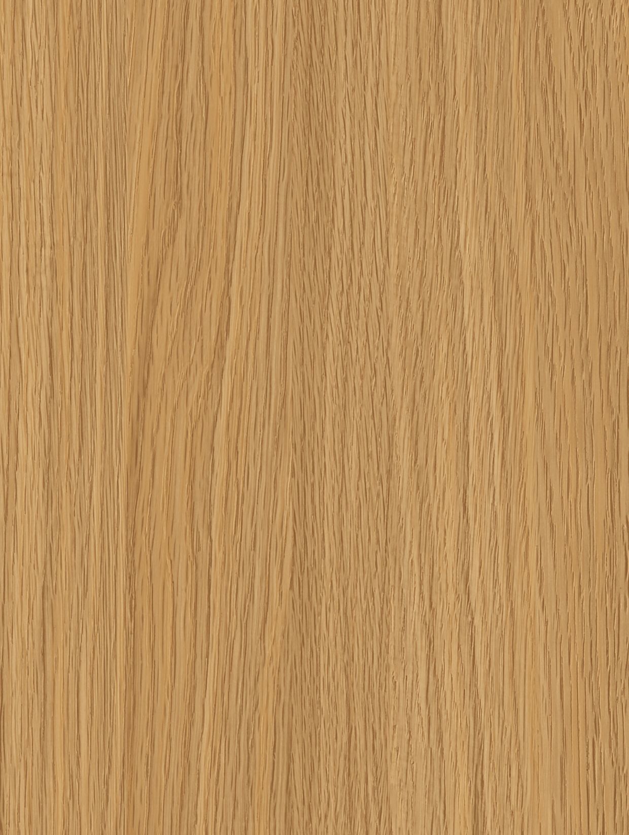 Honey Beech