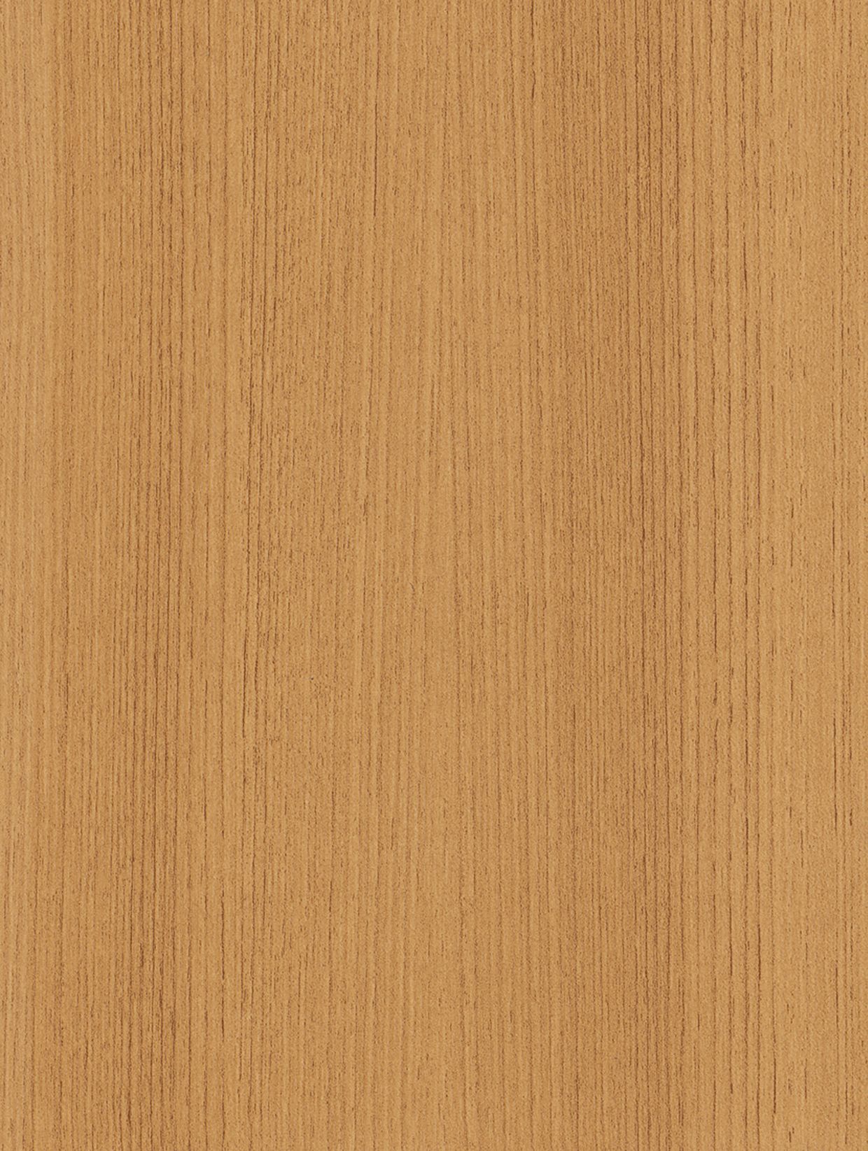 Golden Beech