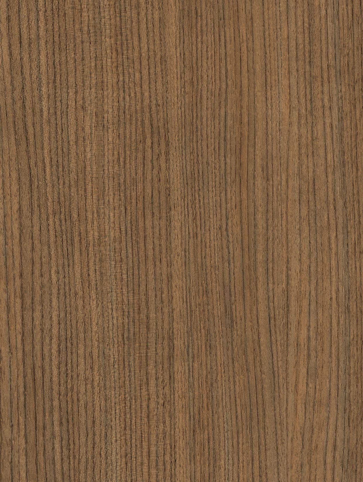 Hazelnut Cream