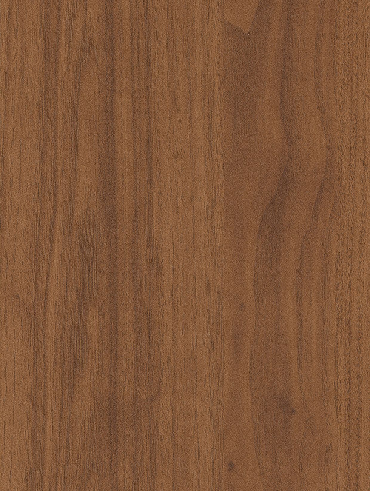 Brown Hazelwood
